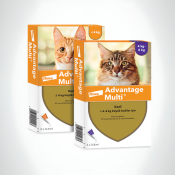 Advantage Multi - Kedi