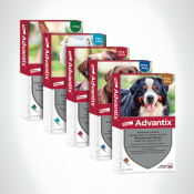 Advantix.png