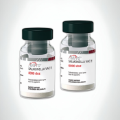 AviPro-Salmonella-Vac-E.png