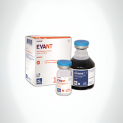 Evant