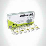 Gallivac IB88 Neo
