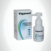 Vigansel